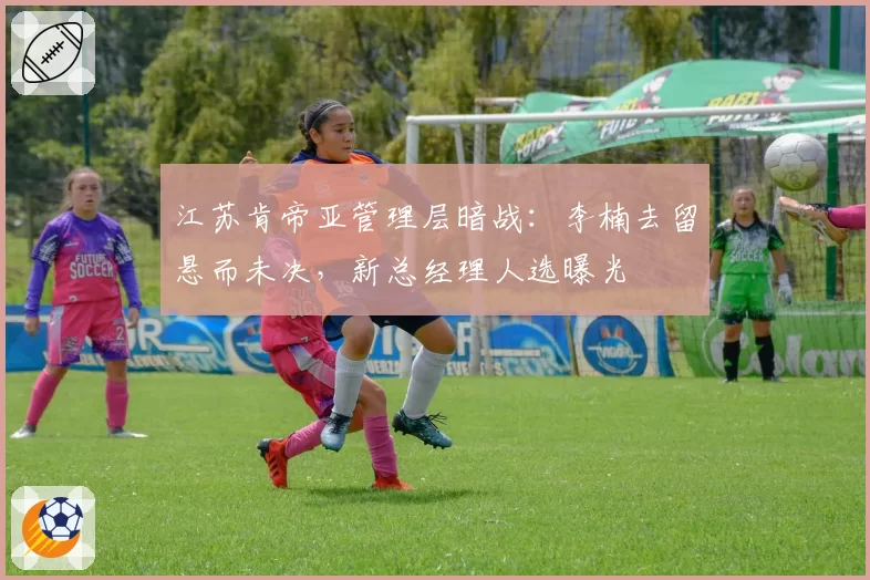 江苏肯帝亚管理层暗战：李楠去留悬而未决，新总经理人选曝光